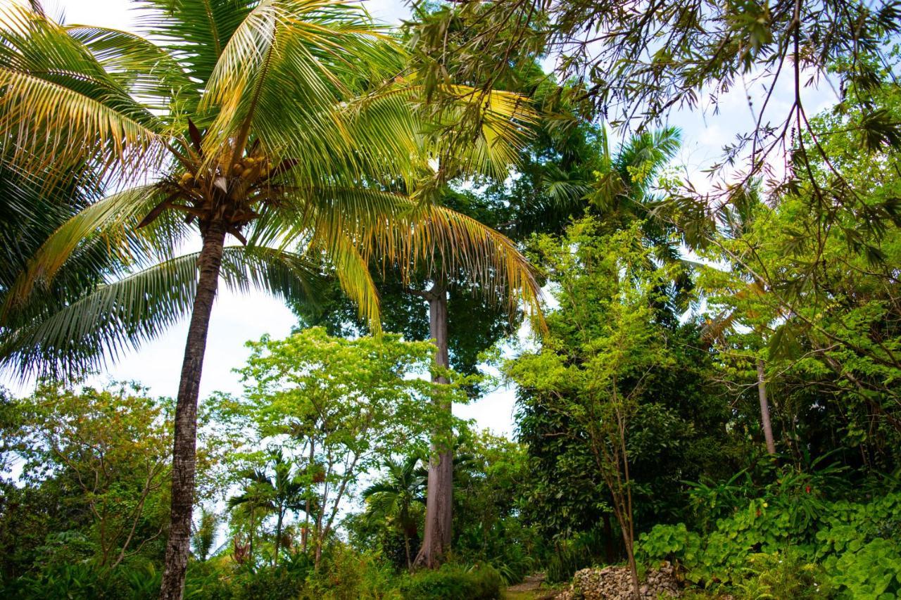 M Hotel Port Antonio Exteriér fotografie