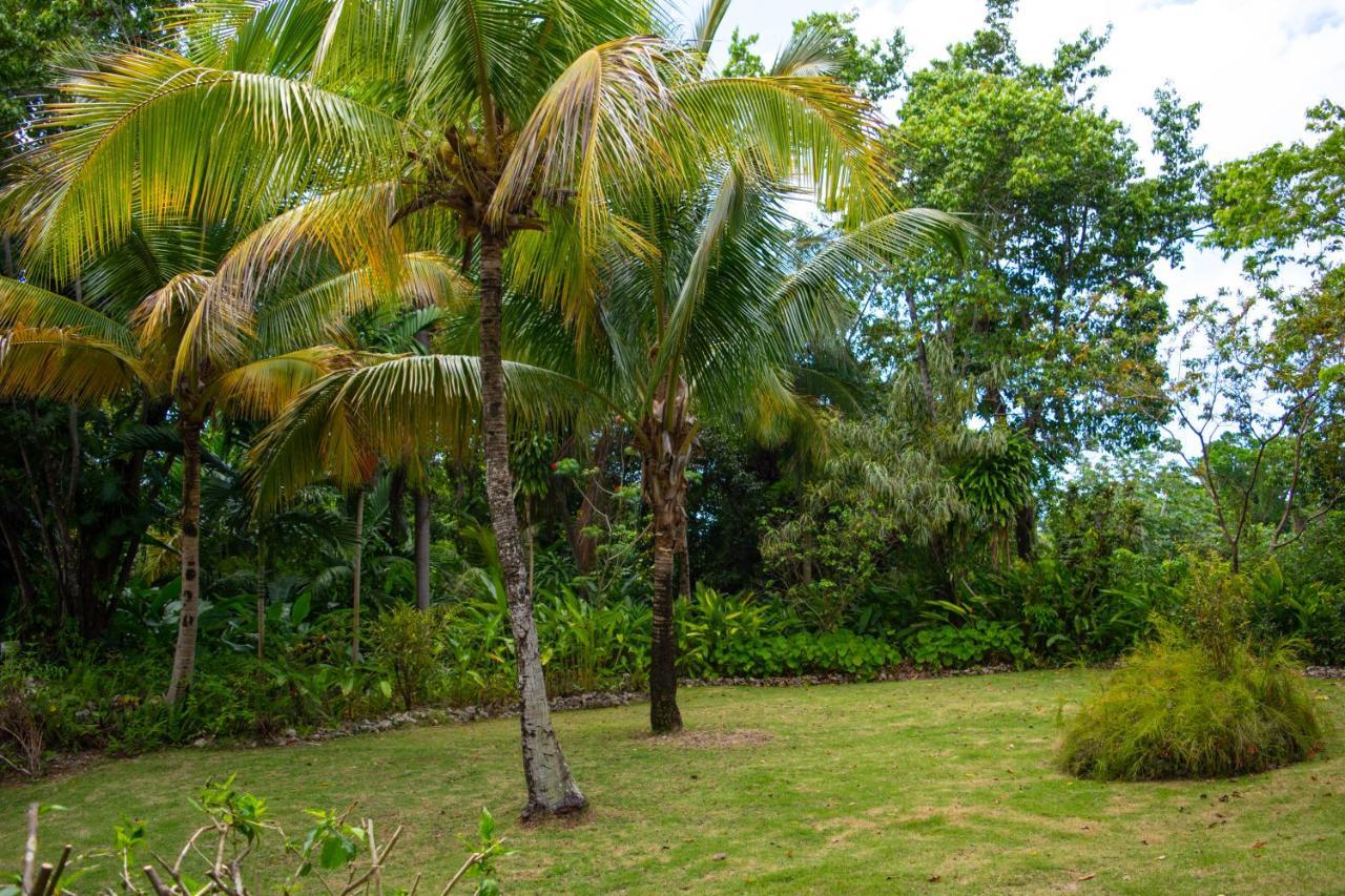 M Hotel Port Antonio Exteriér fotografie